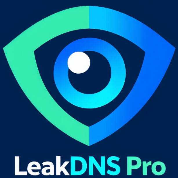 LeakDNSPro